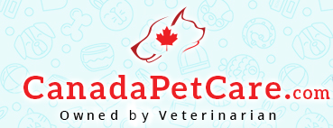 canadapetcare折扣券码,canadapetcare全场任意订单额外8折优惠码