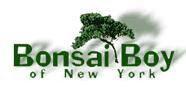 bonsaiboy折扣券码,bonsai boy of new york全场任意订单立减25%优惠码