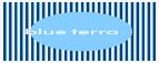 blueterra优惠券